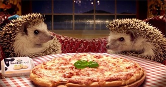 Zippy&#39;s Favorite Movies