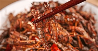 &quot;Adventure&quot; Eating