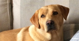 Books Lorna Has Read Since 2020