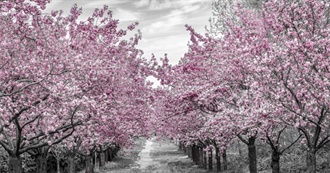 Some of Mrs C&#39;s Favourite Books