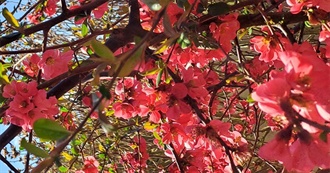 Initially Written in French Cathy&#39;s Favorites