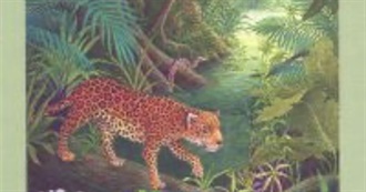 The Best Books of Julia&#39;s Childhood