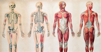 Books With a Body Part in the Title