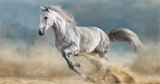 Silly Hoofprint&#39;s Copycat List!