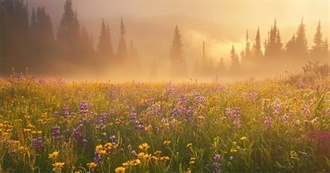 Lailey&#39;s Fav Movies