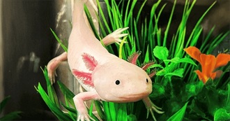 Guess the Book: Nature, Edition One