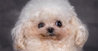 Worm&#39;s Top 100 Films