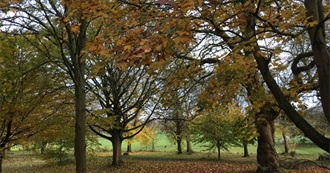 October 2025 Reading