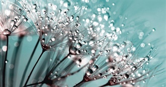 Emmy Lou&#39;s Novels Read in 2019