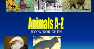 Animals A-Z By: Winor Chen