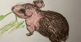 TV Shows That Made Autumn Who She Is