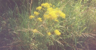 Some of Eve&#39;s Favourite Books