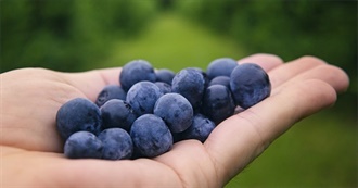 International Fruit Day - Top 10 Vitamin E Fruits