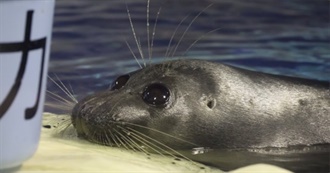 Julna&#39;s Fav Albums &lt;3