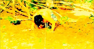 Albums Influential to MDED