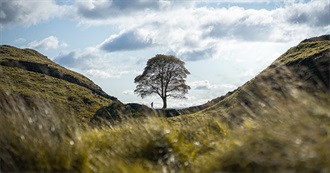 K&#39;s 100 Favourite Movies Ever