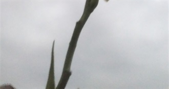 Movies and TV Series Some Human Watched in 2025