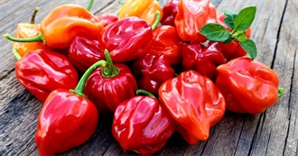 HOT- HABANERO (PEPPERS)
