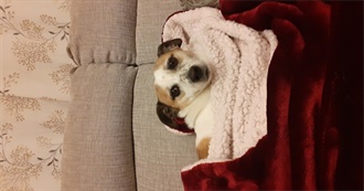 Aisling's Favourite Movies