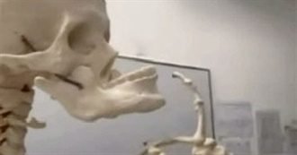 Hexe&#39;s Top 100 Albums