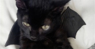 Synths Greatest Hits