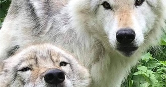 Jeanine&#39;s Favorite Movies