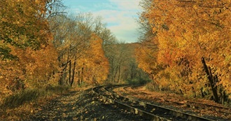 Happy Moments in November 2025