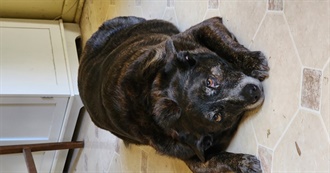 Cas&#39;s Top 50 Movies