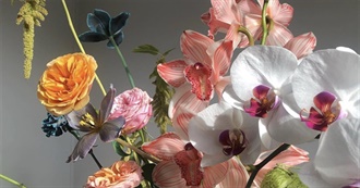 Westley&#39;s Favorite Movies