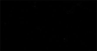 Livros Favs Talvez??? Nao Sei