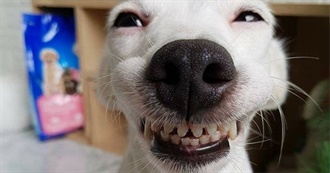 Gin&#39;s Top 50 Movies or Something