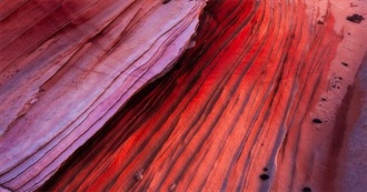 How Many Do You Know???