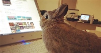 Tobys Favorite Albums