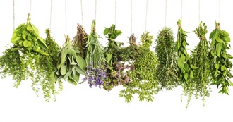 Bucket List for a Foodie 3: Herbs and Spices