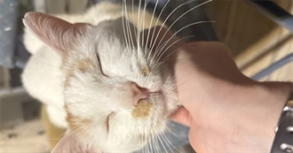 Abigail&#39;s Movies That Are Good