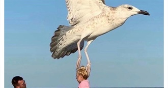 Books Read 2023/2024