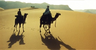 Every Best Cinematography Nominee and Winner Blunderman Has Seen