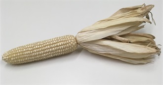 White Wanna Try Foods