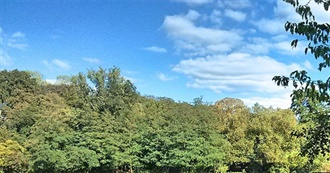 TV Shows Antimony Watched at Some Point