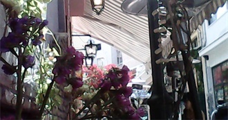 Eleanor&#39;s Ultimate Bucket List (600 Items)