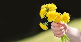 10 Foods With Dandelion