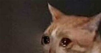 100 Movies Noah Enjoys