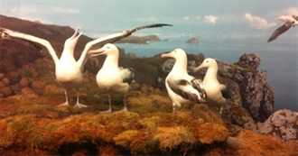 The Ever-Expanding &quot;To Read&quot; List