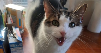 Sam&#39;s 100 Favorite Movies