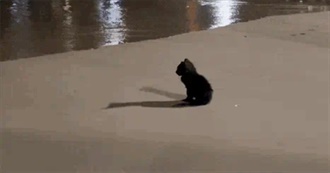 Movies That Lilly Enjoys