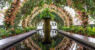 Movies This Film Student Watched in March 2020