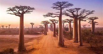 Places Ax Would Travel to If He Wins a Lottery