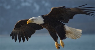 80 Books to Relax From Your Crazy Week