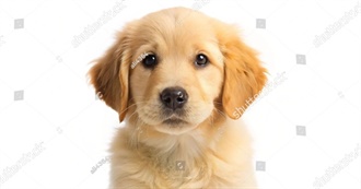 Movies Jonathan Seen