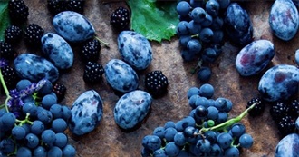 Foods Bearpod Likes: Blue